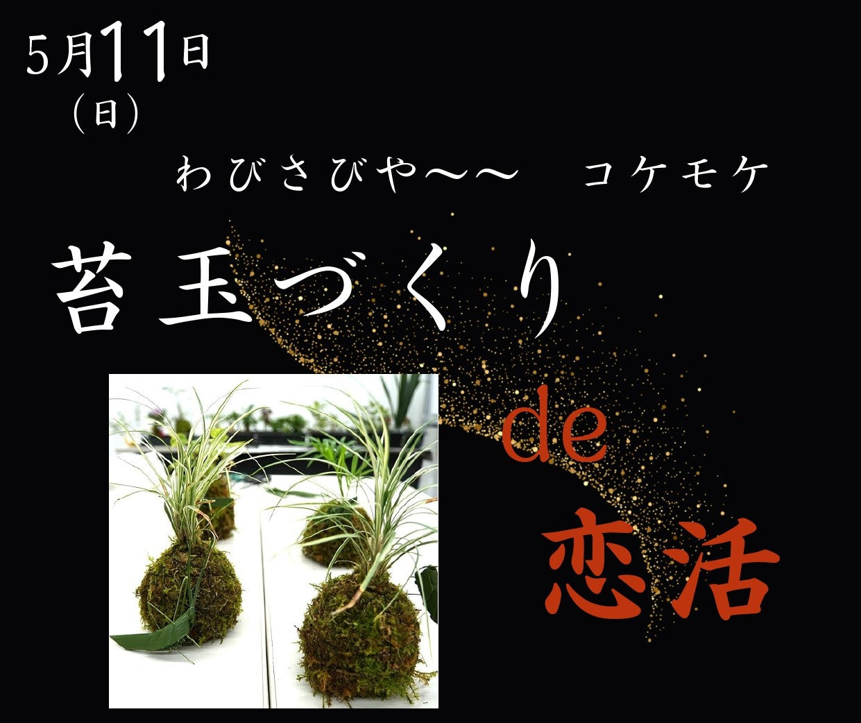 市町イベント（丹波篠山市5/11（日）のご案内）